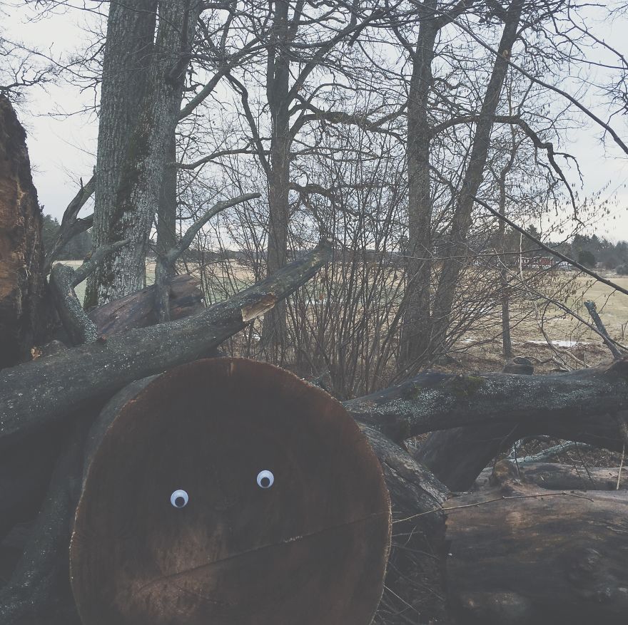 googly eyes culturainquieta2