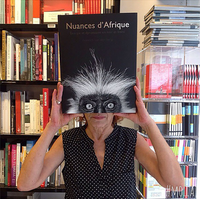 libreria montaje con libros humor 30
