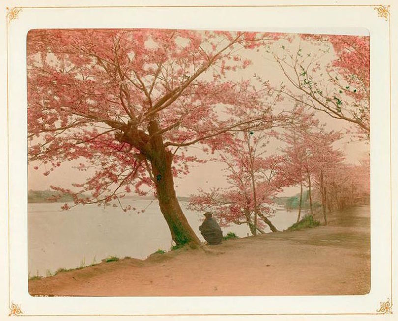 Fotografías Japón era Meiji.
