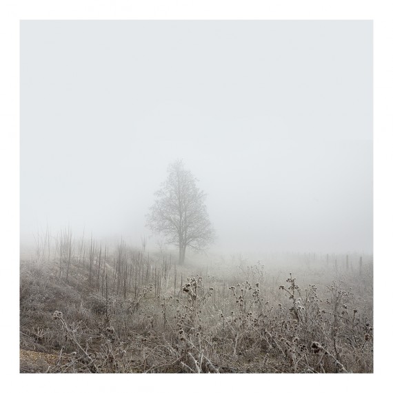 miguel vallinas el silencio blanco numero 1