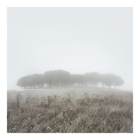 miguel vallinas el silencio blanco numero 5