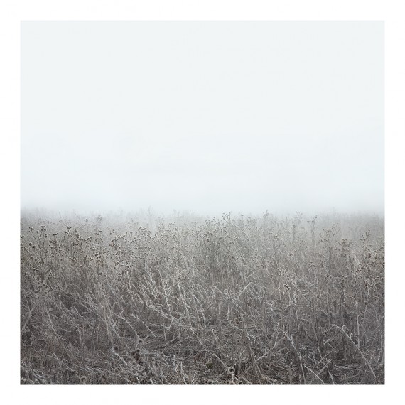 miguel vallinas el silencio blanco numero 6
