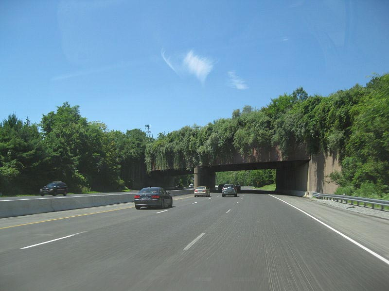 puentes de carretera para animales 3