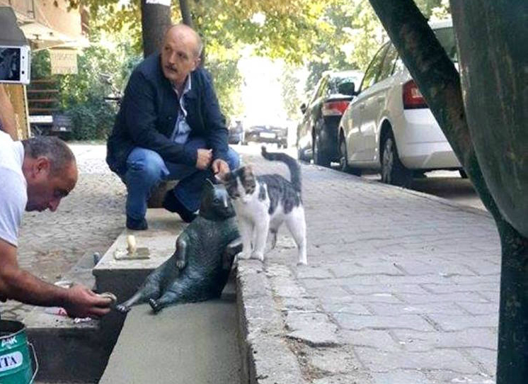 Tombili Un Carismático Gato Callejero De Estambul Ya Tiene Su Propia Estatua Cultura Inquieta 8241