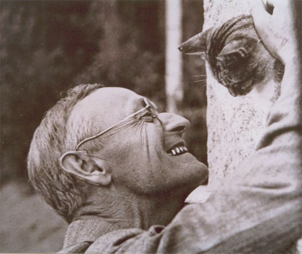 Hermann Hesse, los placeres de la vida.