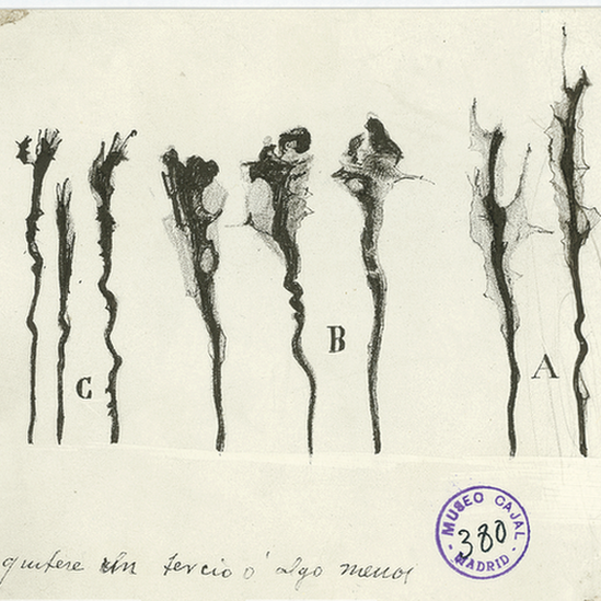 Santiago Ramon y Cajal dibujos artista neurona 10