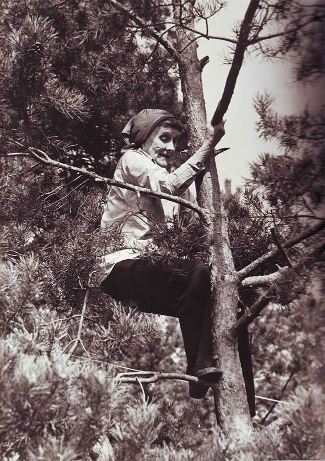 famosos 03