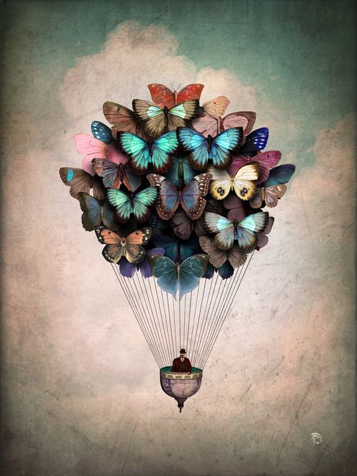 mariposa culturainquieta