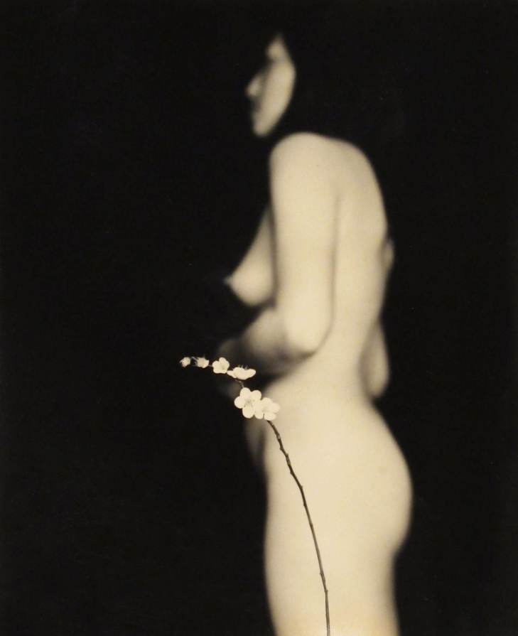 masao yamamoto culturainquieta10