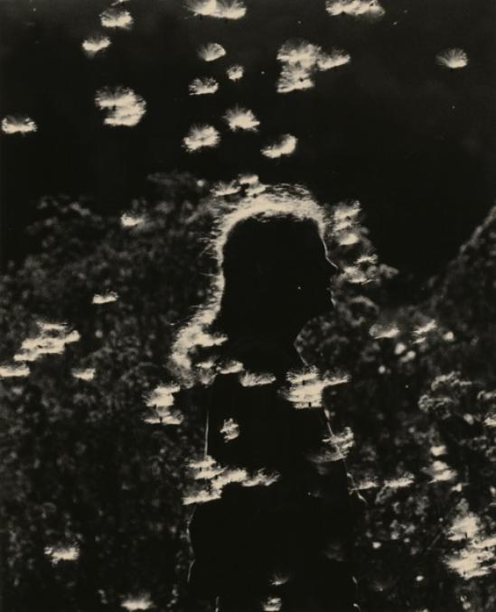 masao yamamoto culturainquieta20