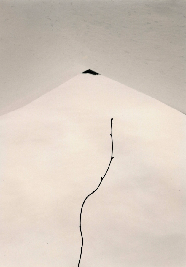 masao yamamoto culturainquieta21