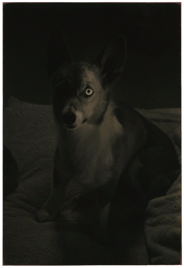 masao yamamoto culturainquieta23
