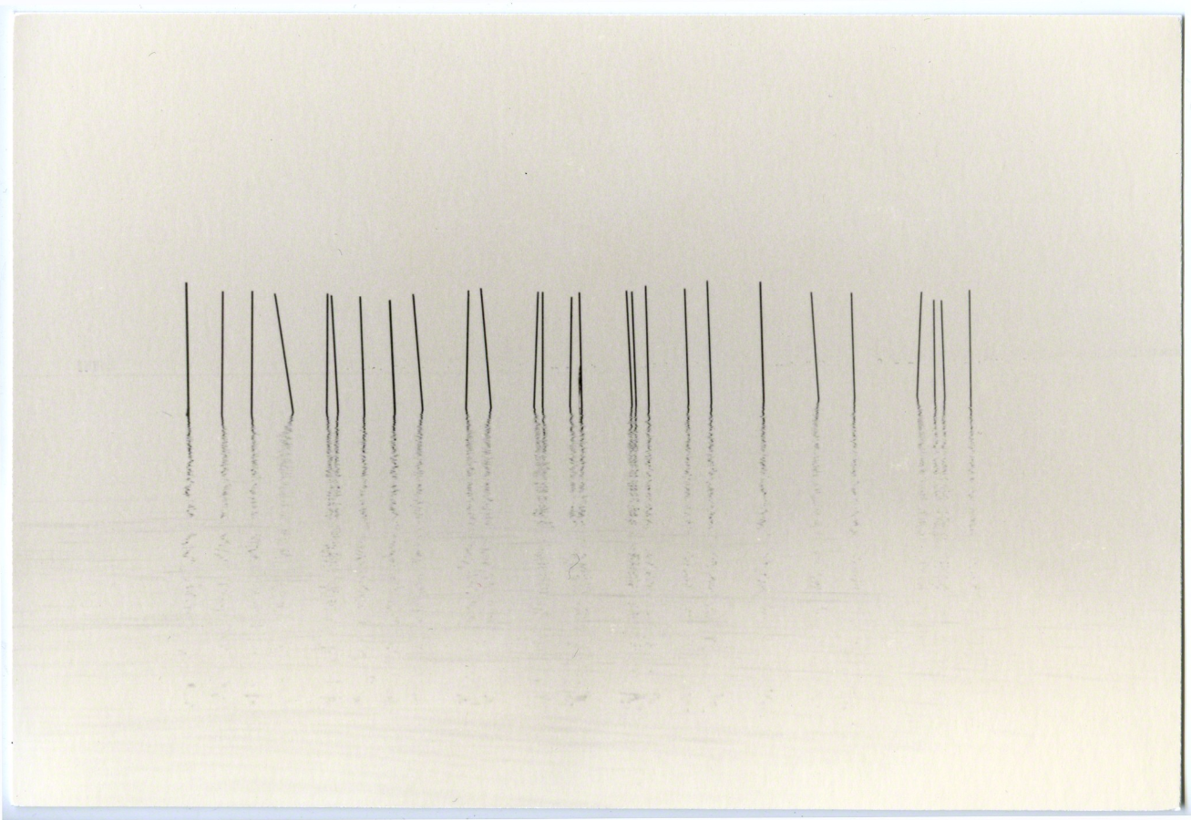 masao yamamoto culturainquieta24