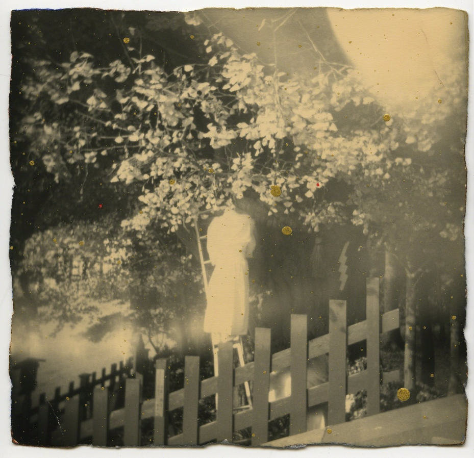 masao yamamoto culturainquieta3