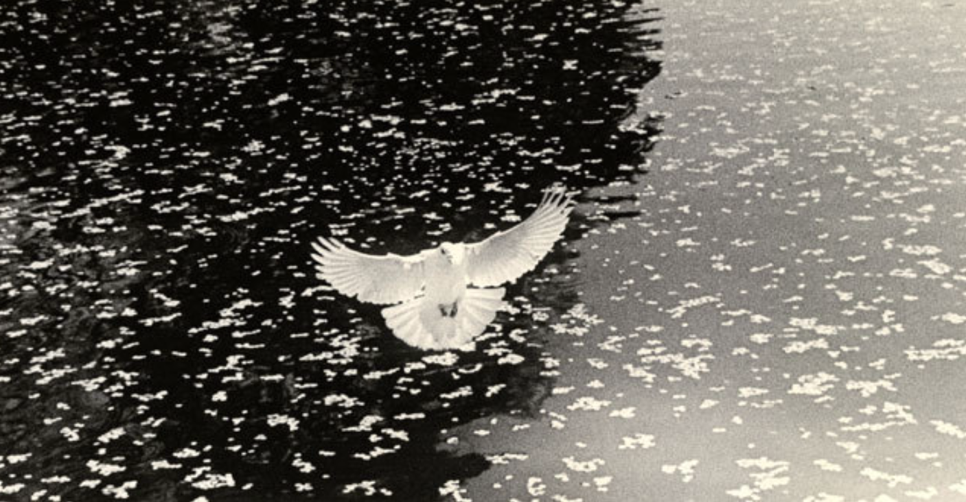 masao yamamoto culturainquieta32