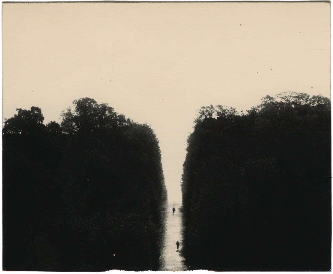 masao yamamoto culturainquieta35