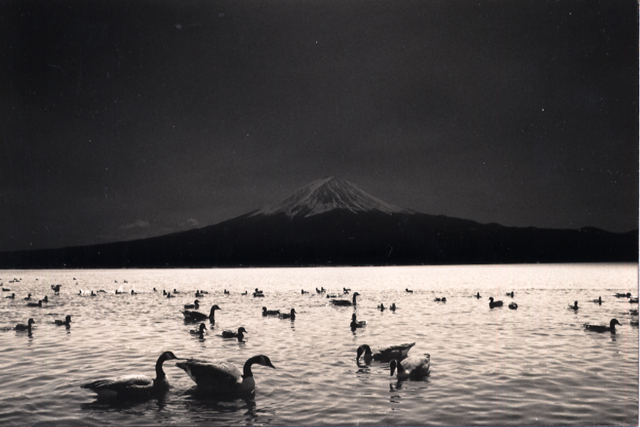 masao yamamoto culturainquieta42