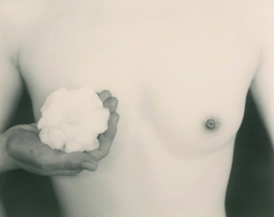 masao yamamoto culturainquieta8