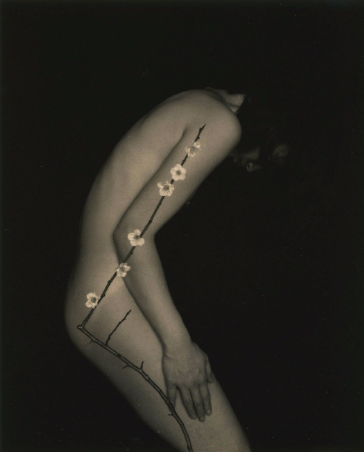 masao yamamoto culturainquieta9