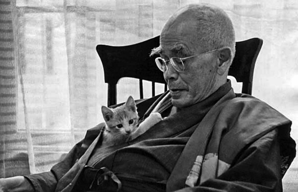 D. T. Suzuki