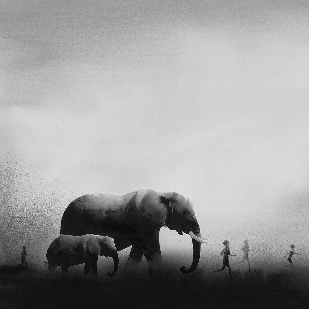 Elicia Edijanto carboncillo estimulante 6