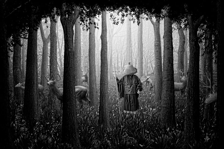 Nick Pedersen ilustraciones Zen 3