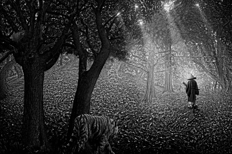 Nick Pedersen ilustraciones Zen 4