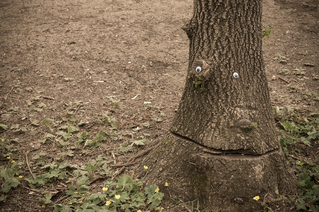 eyebombing1111 1024x683