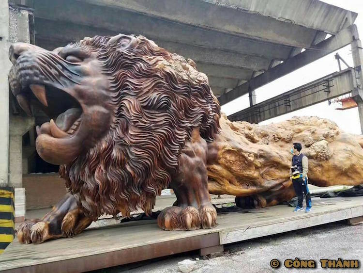 leon gigante tallado madera 2