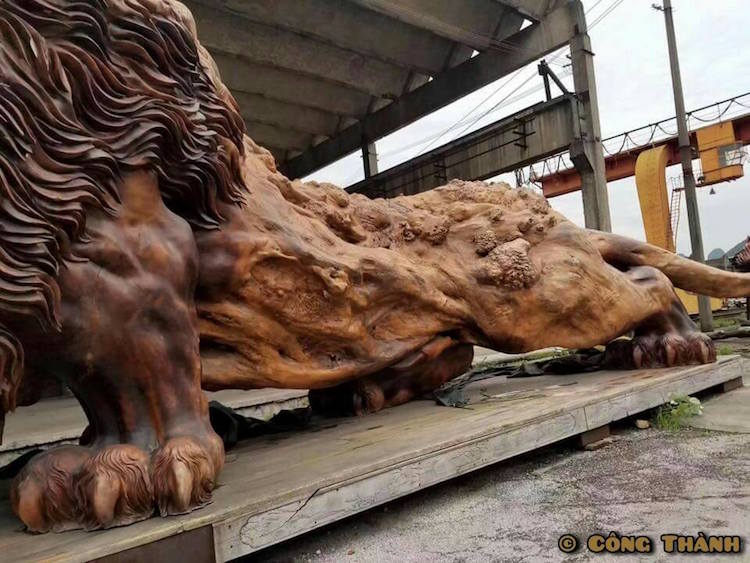 leon gigante tallado madera 5