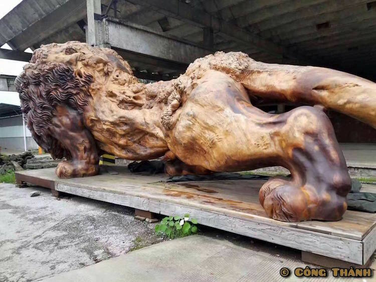 leon gigante tallado madera 6