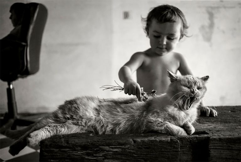 6hijos culturainquieta
