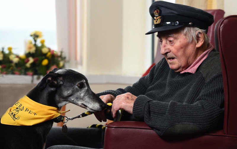 DPOTY Assistant 1st Alasdair MacLeod The Kennel Club 800x504