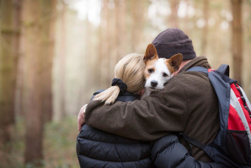 DPOTY Mans Best Friend 3rd Annemarie King The Kennel Club 800x534