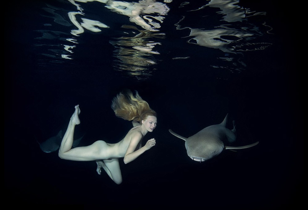 Irina Britanova desnuda tiburones