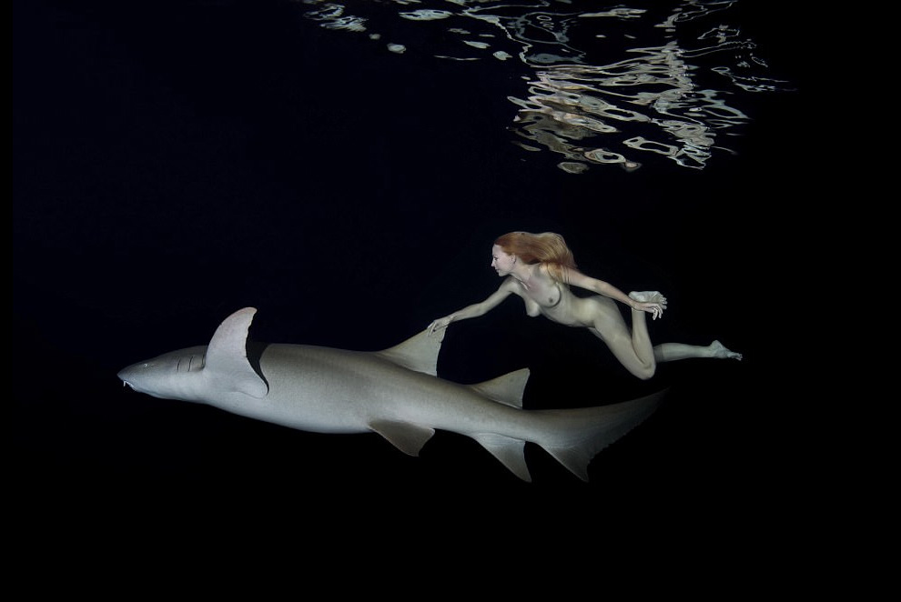 Irina Britanova desnuda tiburones 5