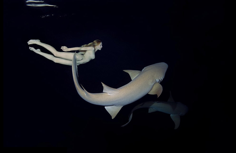 Irina Britanova desnuda tiburones 6