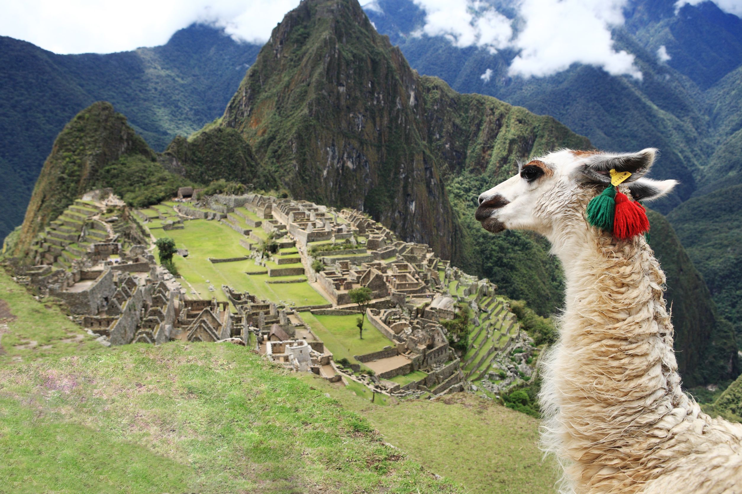 PERU