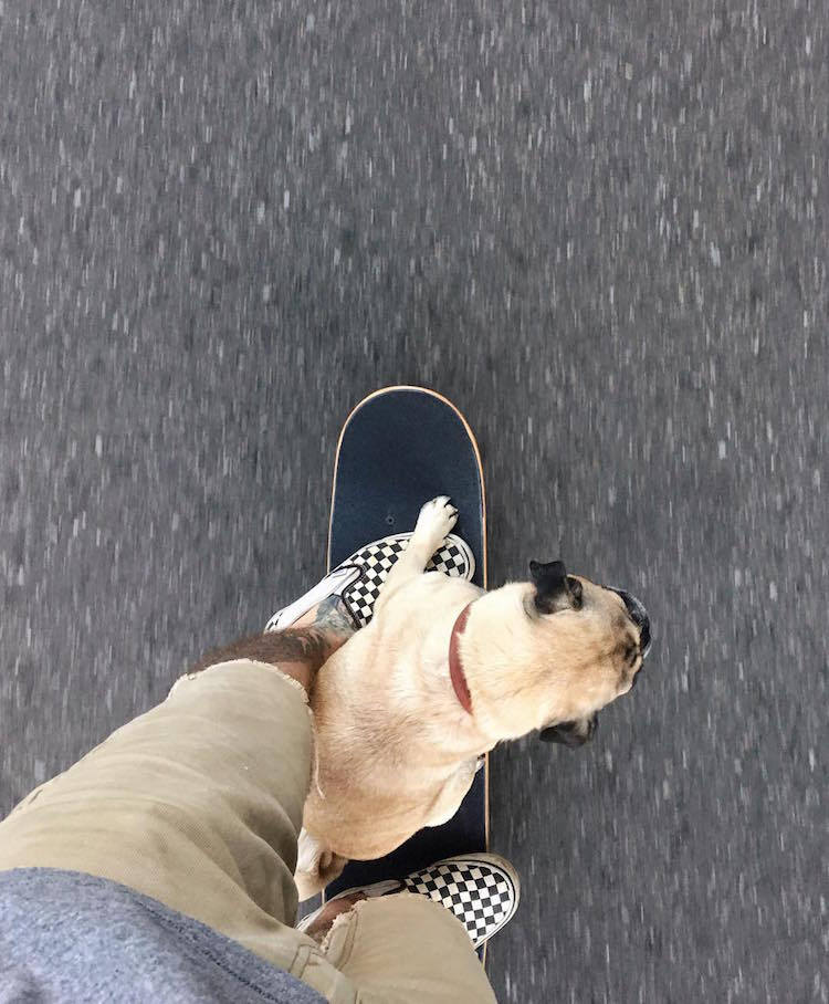 Veach norm 08