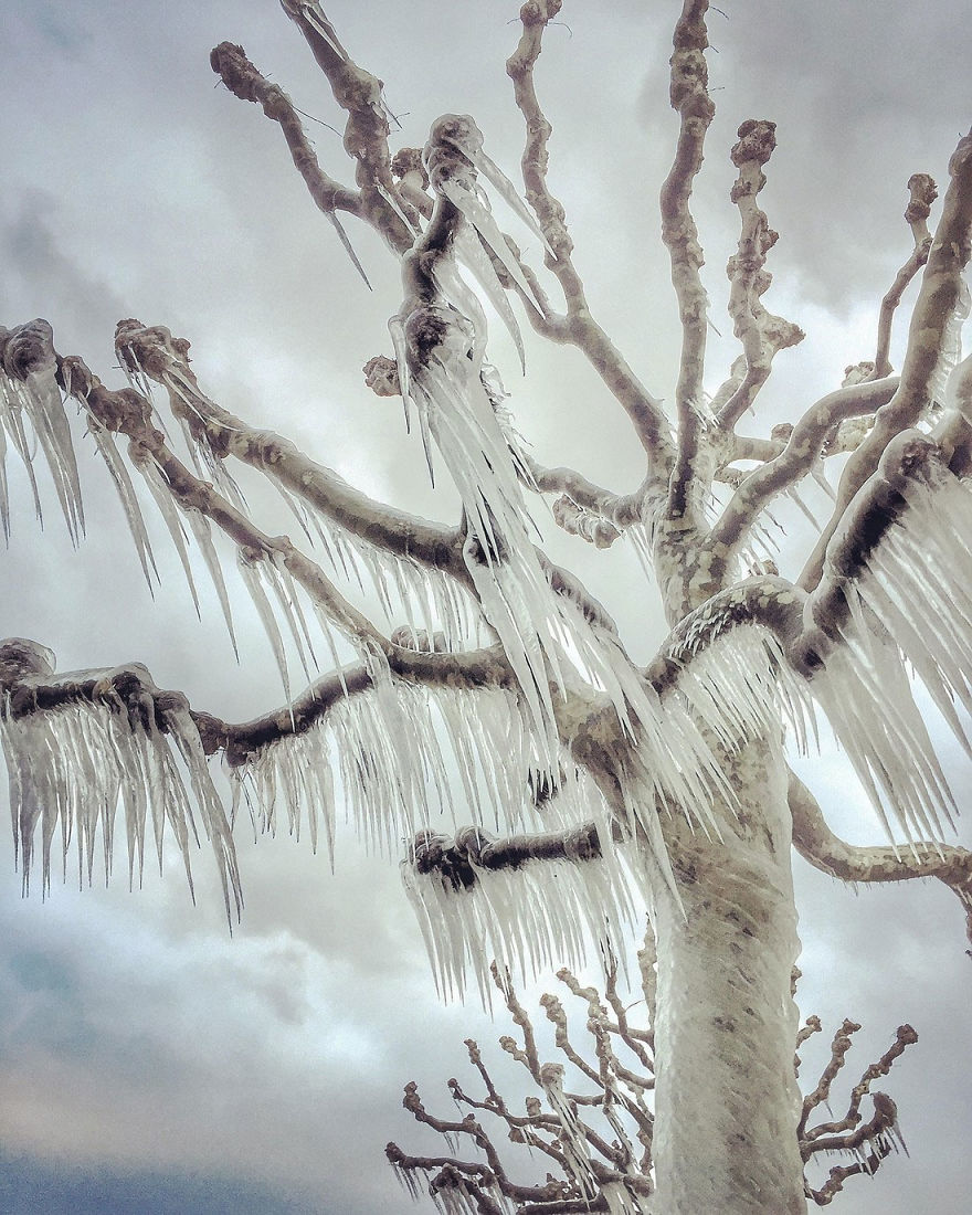 best iphone culturainquieta5