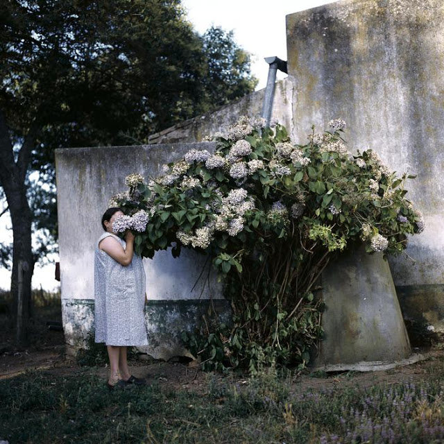 Alessandra Sanguinetti Cultura Inquieta4
