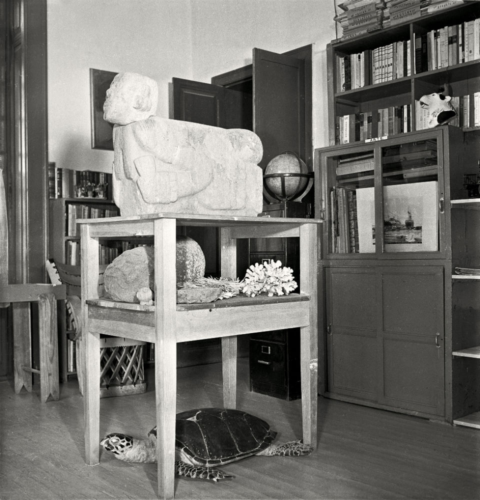 Frida Kahlo Gisele Freund Cultura Inquieta8