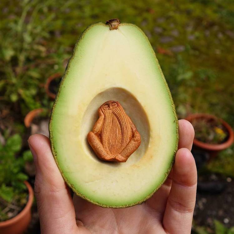 Jan Campbell escultura aguacate