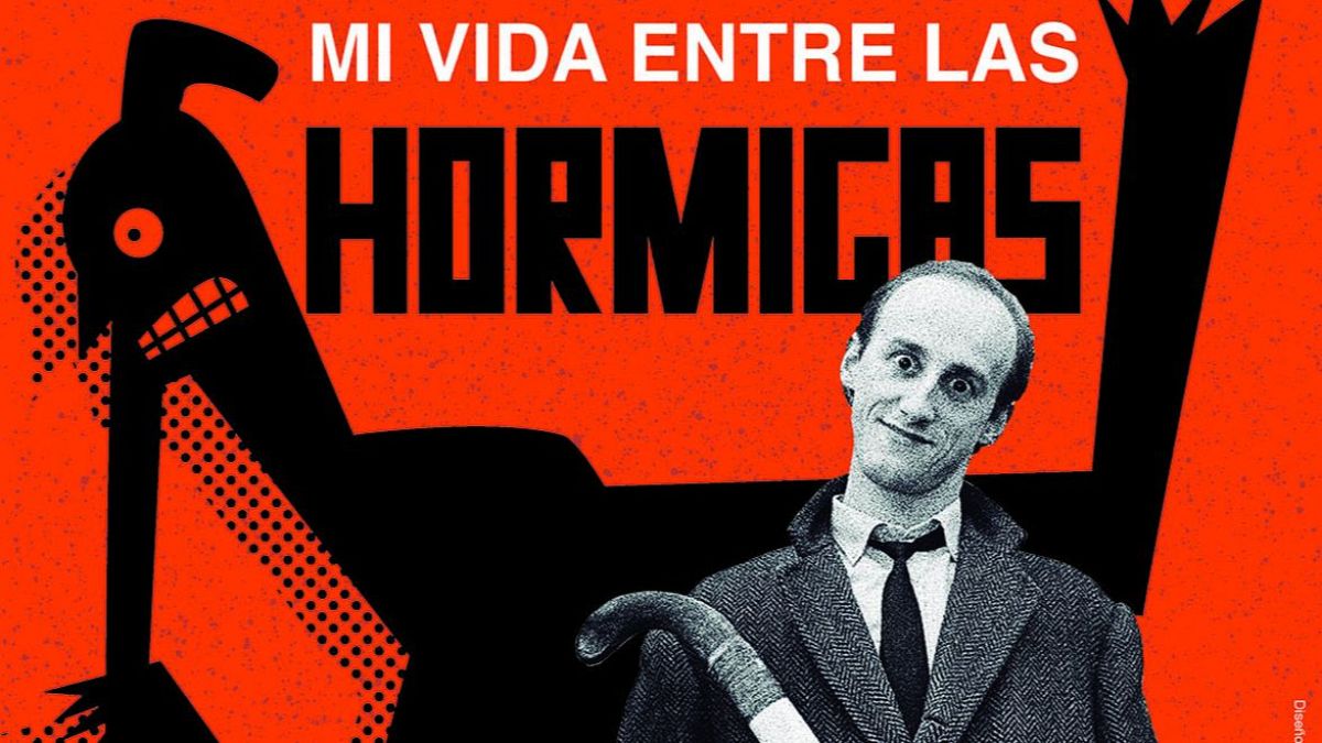 Los Ilegales agitan el alma del rock and roll con este brillante documental
