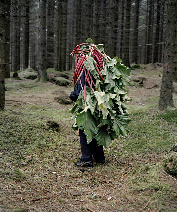Riitta Ikonen Karoline Hjorth maravillosos ancianos 10