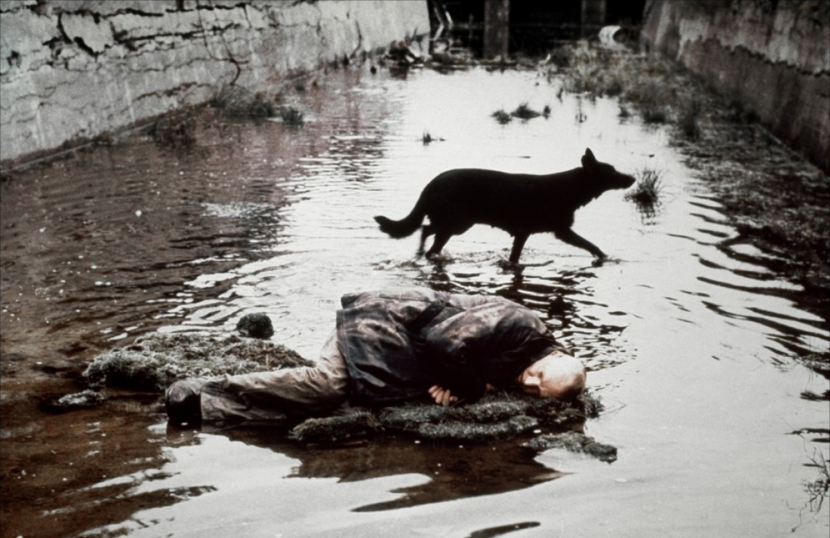 Stalker Andrei Tarkovsky 1979