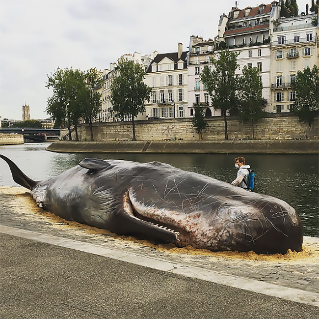 cachalote muerto Paris