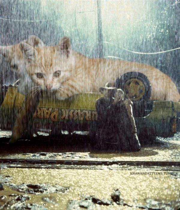 parque jurasico gatos 3