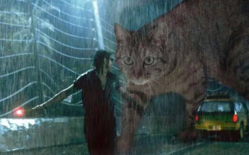 parque jurasico gatos 6