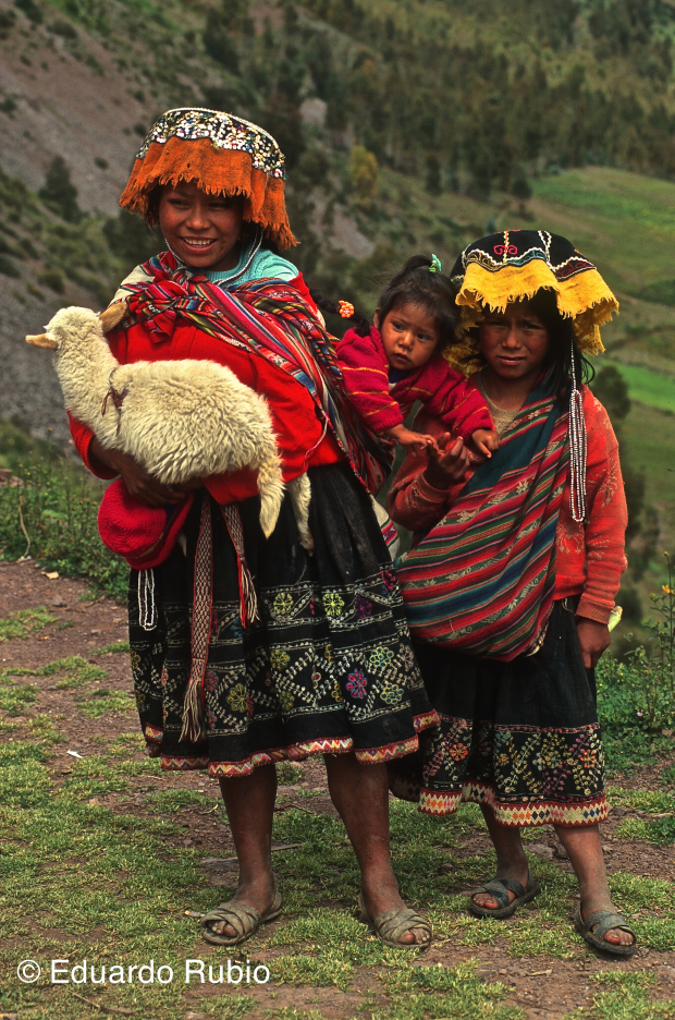 peru nincc83os imp